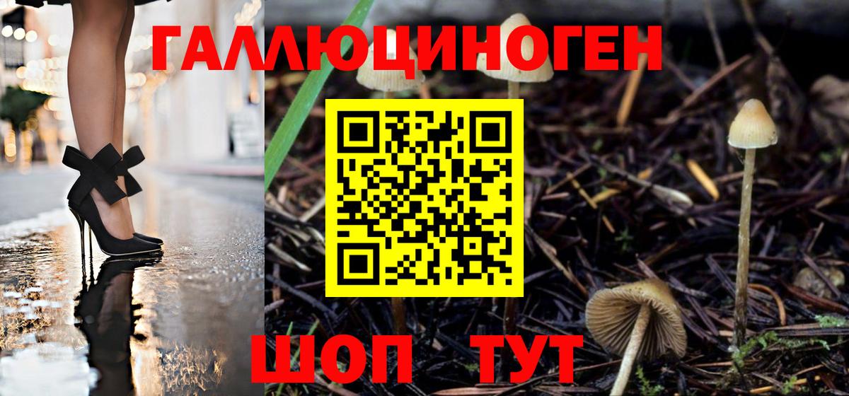 Галлюциногенные грибы мицелий Протвино