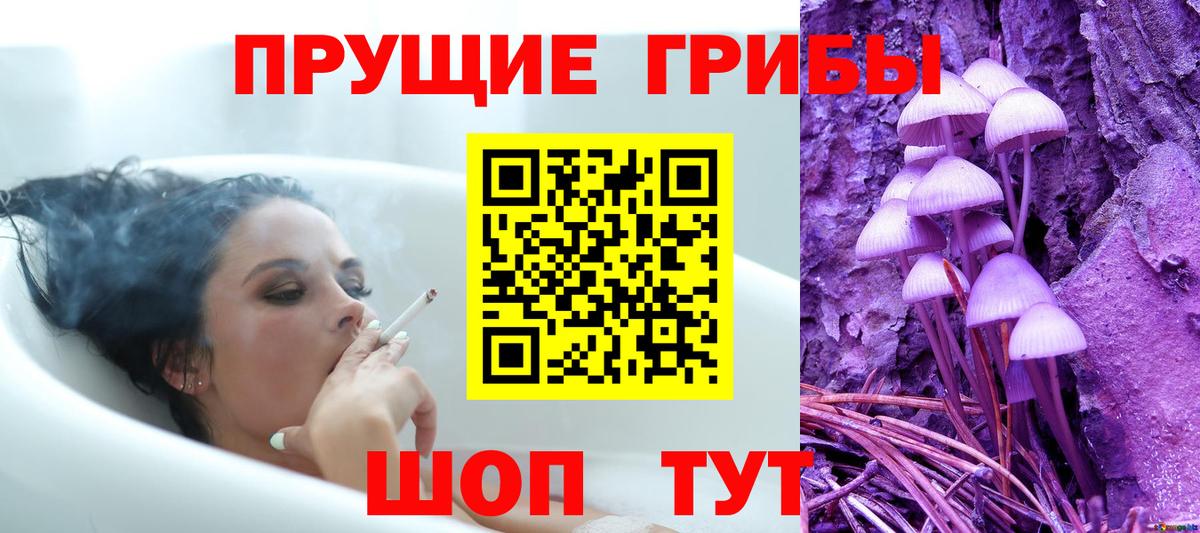 Протвино  Псилоцибиновые грибы ЛСД  Псилоцибиновые грибы Magic Shrooms  Вход с VPN 